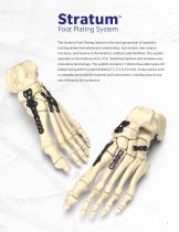 Foot Plating System - 3