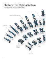 Foot Plating System - 4