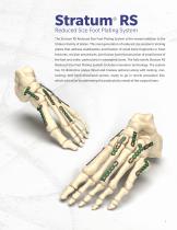 Foot Plating System-3