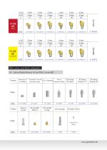 Multi-screw Abutment-12