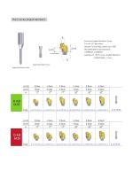 Multi-screw Abutment-9