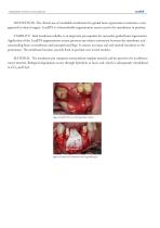 LeadFIX - 2