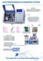 AdaLya IFE - 2