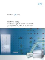 RealTime ready-1