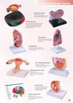 E-catalog-5