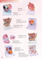 E-catalog-6
