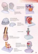 E-catalog-7