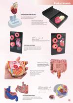 E-catalog-9