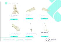 Orthopedic Catalog - 27