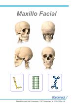 Maxillo-1