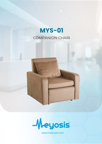  Single Companion (Sofa Bed) Chair