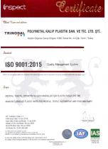 ISO 9001-1