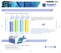 Ampli1™ ReAmp/ds Kit-2