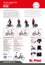 Mobility scooter and adult tricycle DI BLASI Brochure-5
