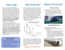 Monitoring IgG in Calves-2