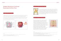 Pelvic floor magnetic stimulator Magnetic therapy armchair YINGCHI Brochure-4