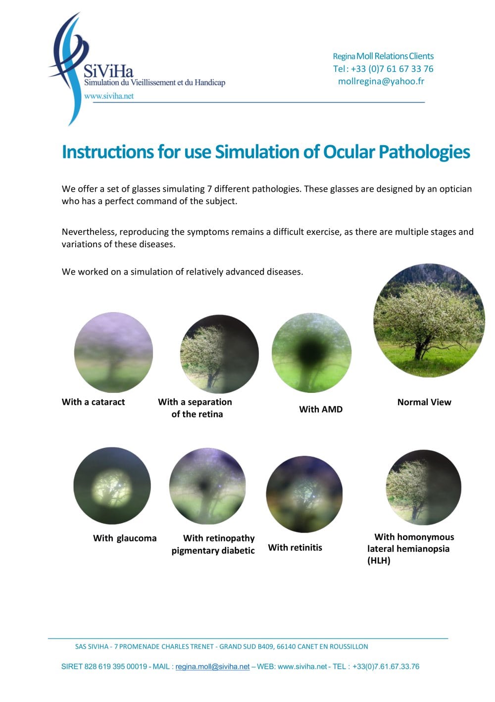 SIVIHA: Eye Disease Simulation Glasses - Simulation of Aging and Disability