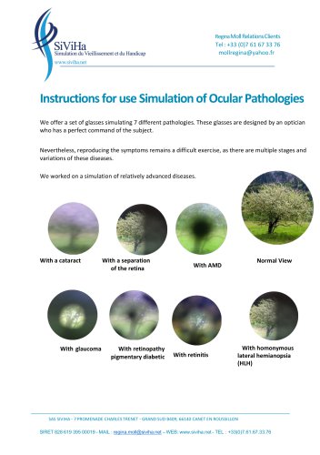 SIVIHA: Eye Disease Simulation Glasses