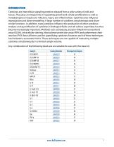 Luminex® Performance Assay - Human Cytokine Base Kit A - 3