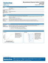 Recombinant Human Activin A - 1