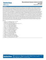 Recombinant Human Activin A - 2