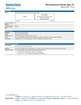 Recombinant Human IgG1 Fc - 1