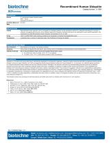 Recombinant Human Ubiquitin - 1