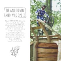 HASE BIKES adventure analog-4