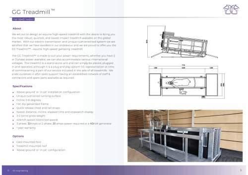 ECB High Speed Treadmill