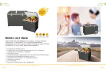 PORTABLE FRIDGE/MOBILE COLD CHAIN-7