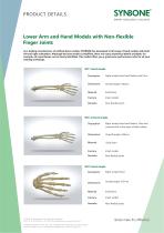 Lower Arm and Hand Models with inflexible Finger joints - 1