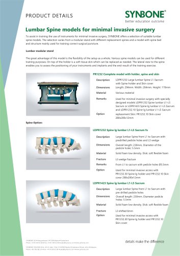 Lumbar Spine Models for