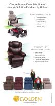 Golden Scooters – Brochure – Winter 2018-9