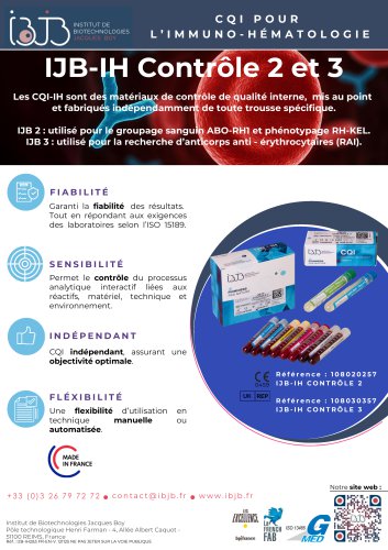 Flyer IJB-IH 2&3