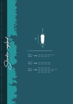 NTA Shorter + Shorter Plus Catalog-10