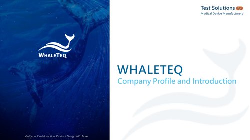 Company Profile and Introduction