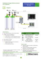 AMBULANCE OXYGEN DELIVERY SYSTEM  - 2 sources-2
