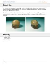 User Manual HD-N02-3