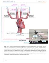 User Manual HP-A05-8
