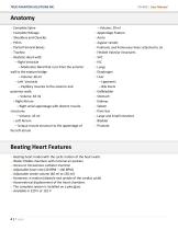 User Manual TO-A03-4