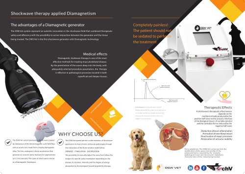 DSW vet Diamagnetic shockwave