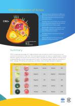 cervical cancer rapid diagnostic test-4