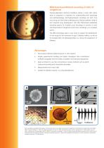 Beta Cell Screening-2