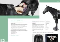 Farm Animals-4