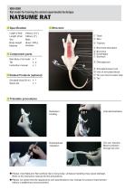 Mannequin Natsume Rat-2