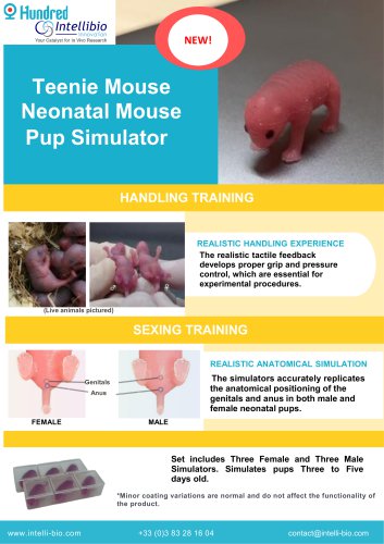 Neonatal mouse pup simulator