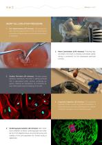 Heart Cell Isolation setup-3