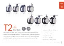 T-100B-BG-M12X25-2