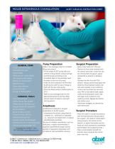 MOUSE INTRAVENOUS CANNULATION-1