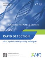 Multiplex Real-Time PCR Kit Rapid Detection of 27 Species of Respiratory Pathogens - 2